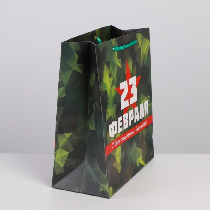 Пакет подарочный ламинированный вертикальный, упаковка, «Защитник», ML 23 х 27 х 11.5 см Пакет подарочный ламинированный вертикальный, упаковка, «Защитник», ML 23 х 27 х 11.5 см