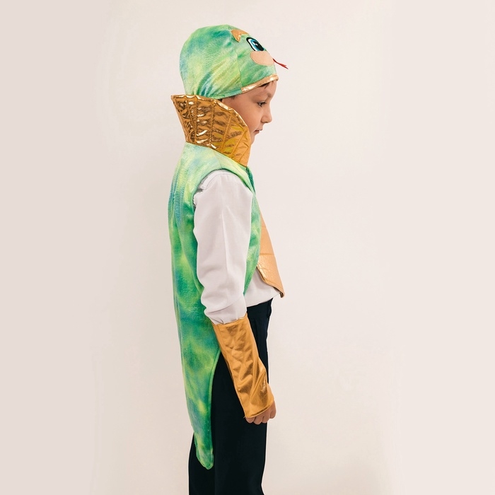 Карнавальный костюм детский «Новогодний змей»: жилетка, нагрудник, шапка, нарукавники, рост 116-128 см Карнавальный костюм детский «Новогодний змей»: жилетка, нагрудник, шапка, нарукавники, рост 116-128 см