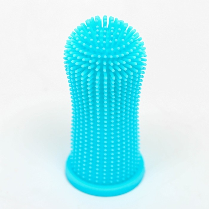 Щётка для чистки зубов животных, 5,5 х 2,5 см, голубая, контейнер 7 х 4 см