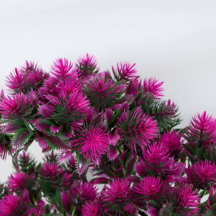 Бонсай в горшке Бонсай в горшке "Мелкие пушистики" 26х24 см, микс