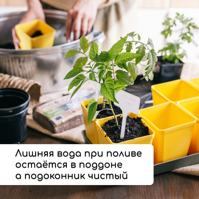 Набор для рассады: стаканы по 200 мл (18 шт.), поддон 36,5 × 17 см, цвет МИКС, Greengo Набор для рассады: стаканы по 200 мл (18 шт.), поддон 36,5 × 17 см, цвет МИКС, Greengo