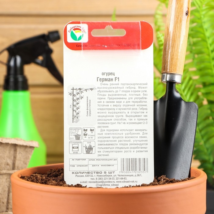 Семена Огурец Герман F1, партенокарпический, 5 шт Семена Огурец Герман F1, партенокарпический, 5 шт