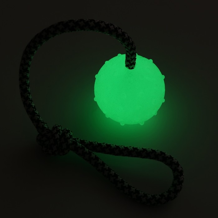Игрушка для собак Игрушка для собак "Луна", светящаяся в темноте, на канате, 6 см