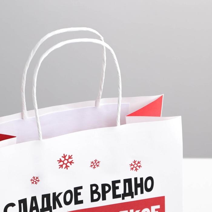 Пакет подарочный новогодний «Сладкое вредно», 22 х 22 х 11 см, Новый год Пакет подарочный новогодний «Сладкое вредно», 22 х 22 х 11 см, Новый год