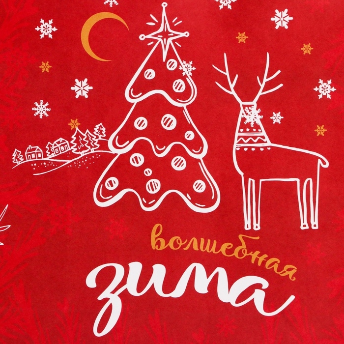 Новый год. Пакет бумажный подарочный новогодний крафт "Волшебная зима" 27 х 21 х 11 см.