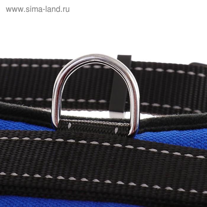 Шлейка К7 мягкая светоотражающая, размер М, ОГ 52-66 см, вес 9,5-17,5 кг, синяя Шлейка К7 мягкая светоотражающая, размер М, ОГ 52-66 см, вес 9,5-17,5 кг, синяя