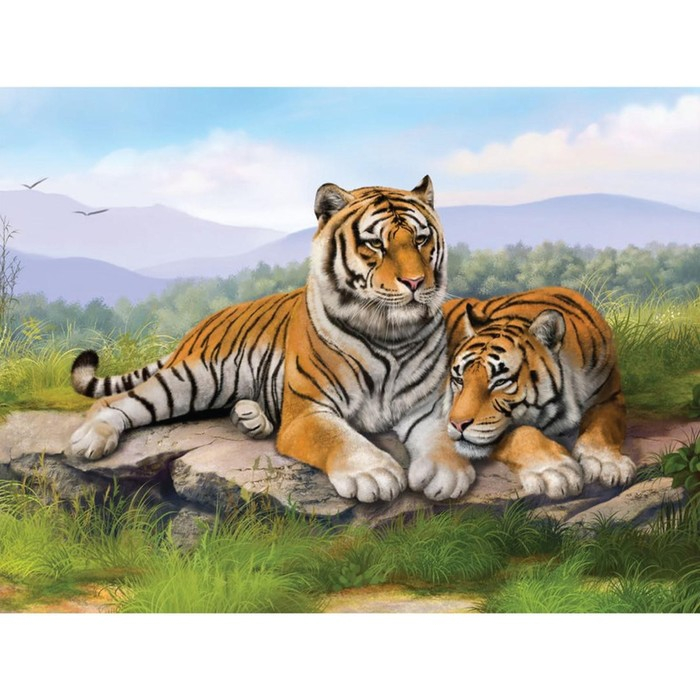 Алмазная мозаика с полным заполнением на холсте «Тигры», 30 х 40 см Алмазная мозаика с полным заполнением на холсте «Тигры», 30 х 40 см