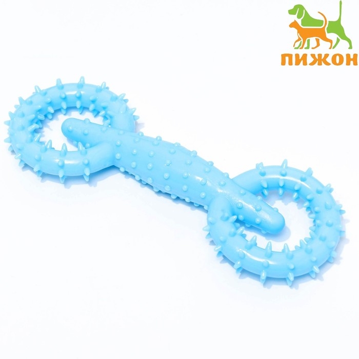 Игрушка для собак Игрушка для собак "Мотор", TPR, массажная, 16 х 5,8 см, голубая