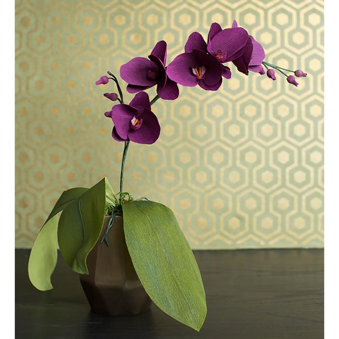 Бумага для упаковки и поделок, Cartotecnica Rossi, гофрированная, фиолетовая, однотонная, двусторонняя, рулон 1 шт., 0,5 х 2,5 м Бумага для упаковки и поделок, Cartotecnica Rossi, гофрированная, фиолетовая, однотонная, двусторонняя, рулон 1 шт., 0,5 х 2,5 м