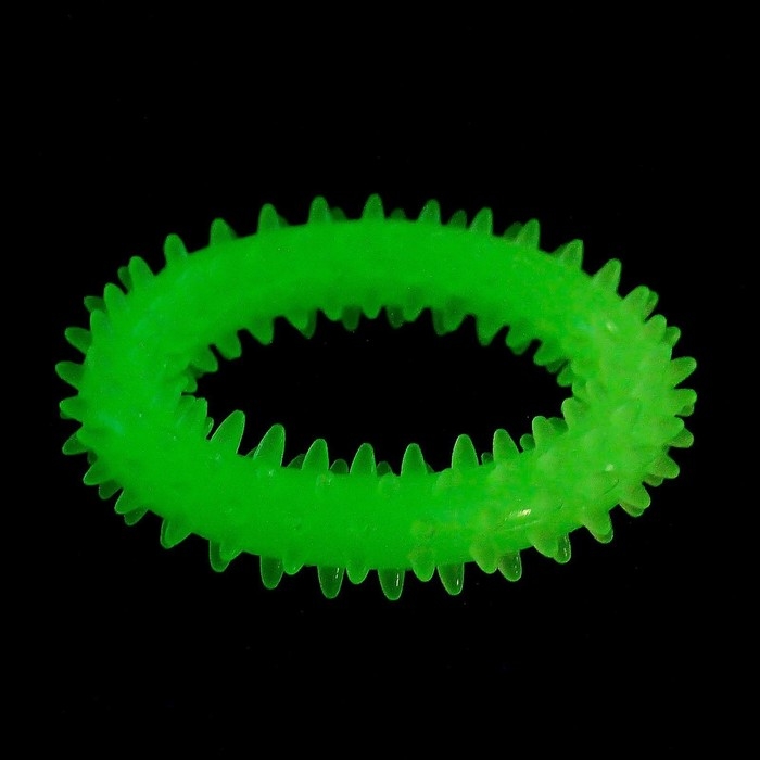 Игрушка для собак, светящаяся в темноте, Игрушка для собак, светящаяся в темноте, "Кольцо с шипами", 9 см