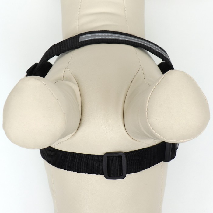 Шлейка К9 мягкая светоотражающая, размер ХS, ОГ 38-50 см, вес 3-6 кг, зелёная Шлейка К9 мягкая светоотражающая, размер ХS, ОГ 38-50 см, вес 3-6 кг, зелёная