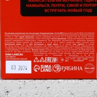 Подарочный набор ЧИСТОЕ СЧАСТЬЕ «Ничего»: гель для душа 250 мл и мочалка для тела, Новый Год