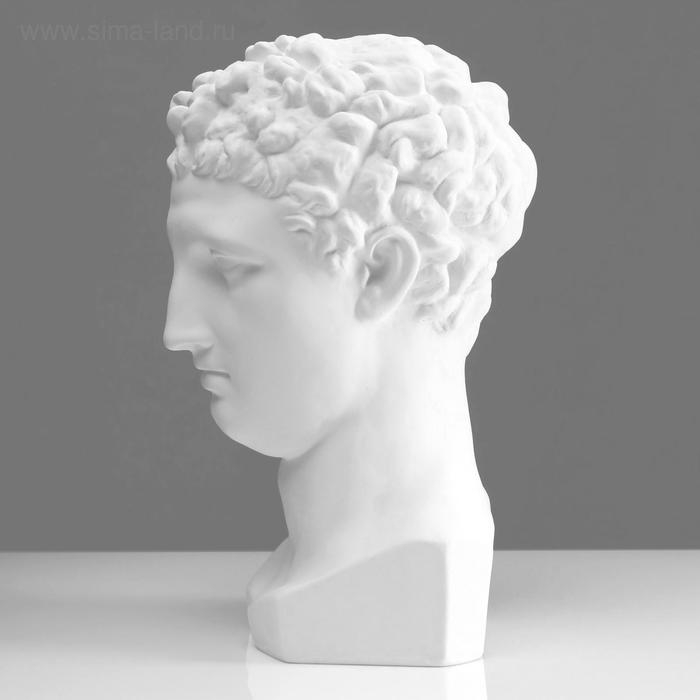 Гипсовая фигура Голова Гермеса, 22 х 27 х 46 см Гипсовая фигура Голова Гермеса, 22 х 27 х 46 см