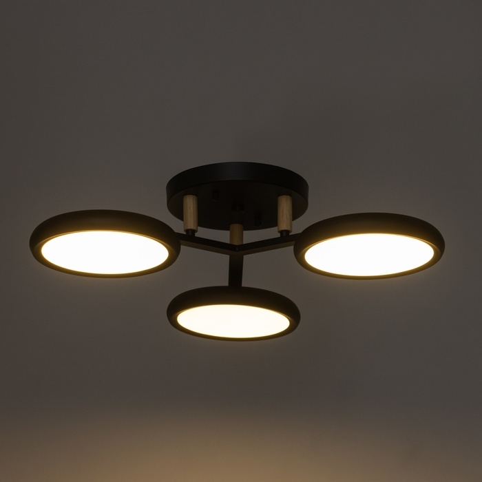 Люстра Люстра "Алис" 3хLED 72Вт 3000-6000К черный 52х52х13 см