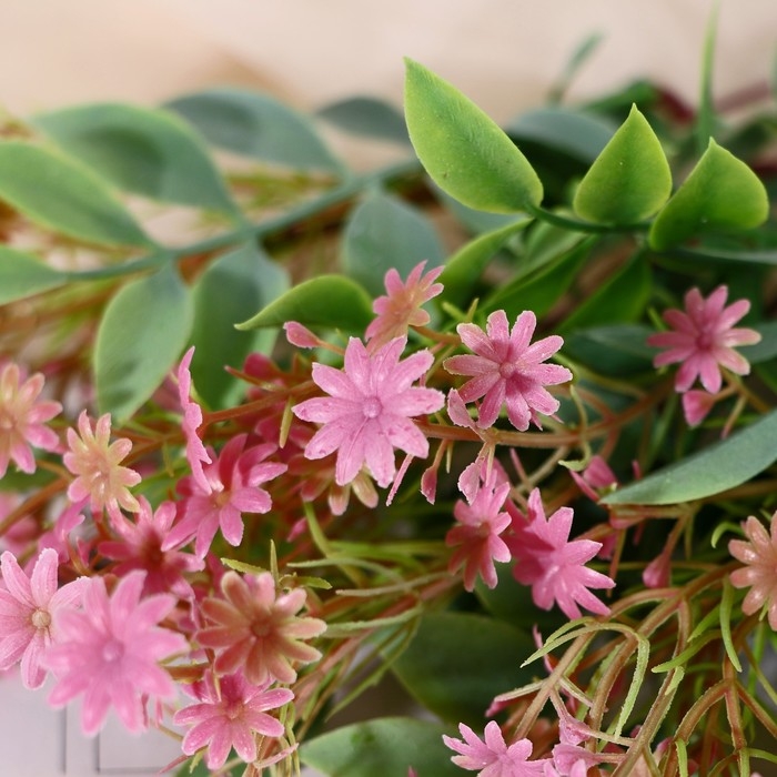 Букет Букет "Цикорий обыкновенный" 30 см, микс