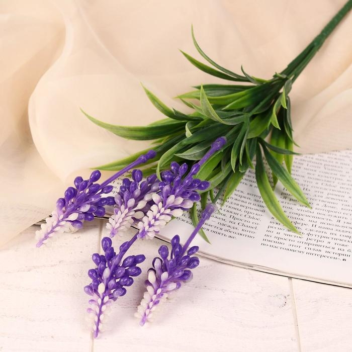 Букет Букет "Борец клобучковый" 30 см