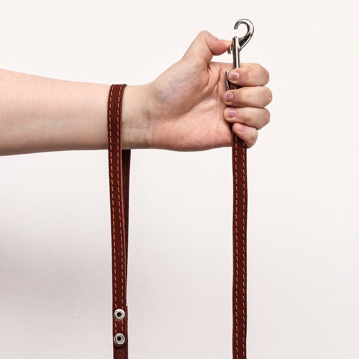 Поводок кожаный однослойный, простроченный, 1.47 м х 1.2 см, коричневый Поводок кожаный однослойный, простроченный, 1.47 м х 1.2 см, коричневый