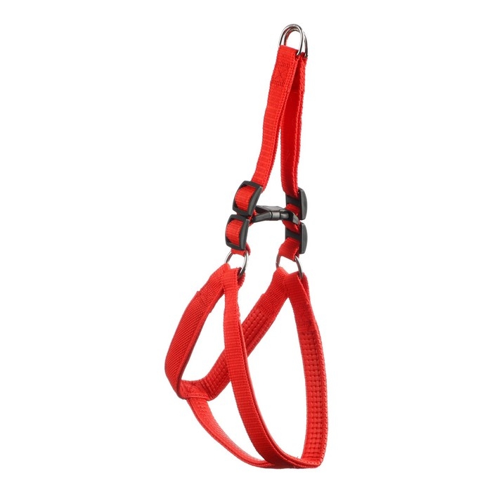 Шлейка Шлейка "Комфорт" комбинированная, 2 см, ОШ 40-60 см, ОГ 44-62 см, красная