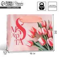Пакет подарочный ламинированный, упаковка, «8 марта», S 12 х 15 х 5.5 см
