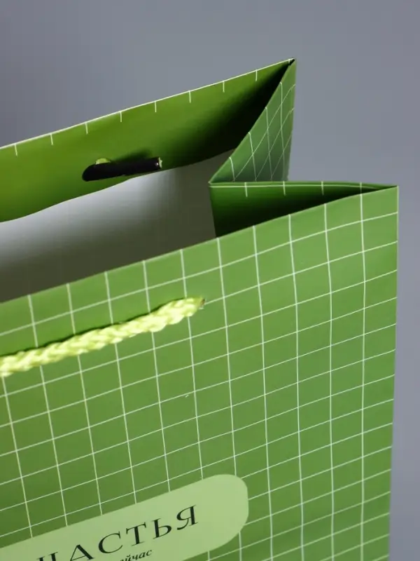 Пакет подарочный ламинированный "Здесь и сейчас" 18 х 22,3 х 10 см