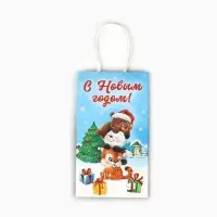Пакет подарочный новогодний крафтовый «Новый год», 12 х 9 х 21 см
