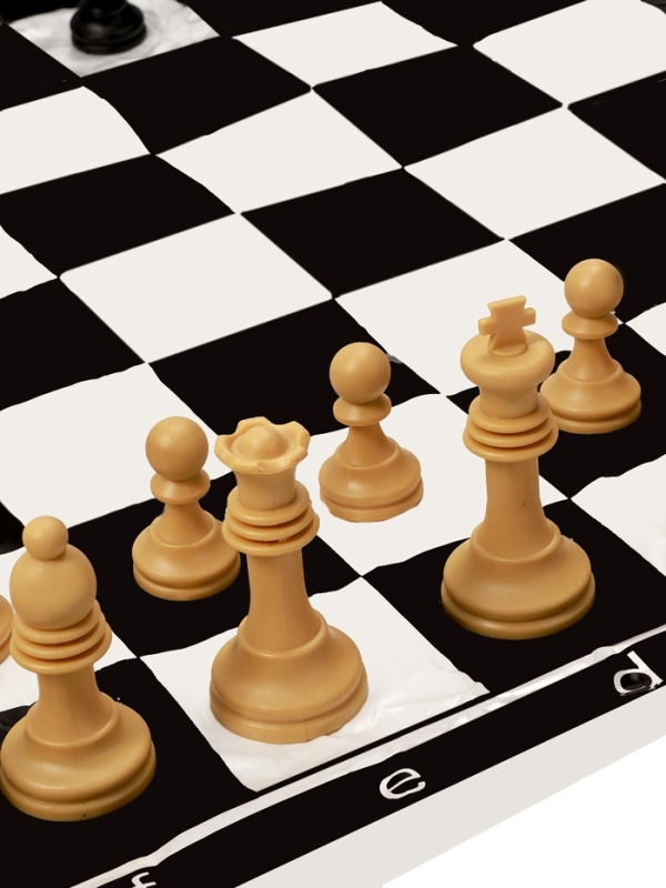 Шахматы 50 х 50 см, король h-7 см, d-3.2 см, фигуры пластик Шахматы 50 х 50 см, король h-7 см, d-3.2 см, фигуры пластик