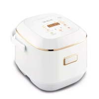 Мультиварка RK601132 Mini со сферической чашей и 7 режимами