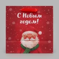 Пакет подарочный &laquo;С Новым годом&raquo;, Дед Мороз, 22&times;22&times;11 см