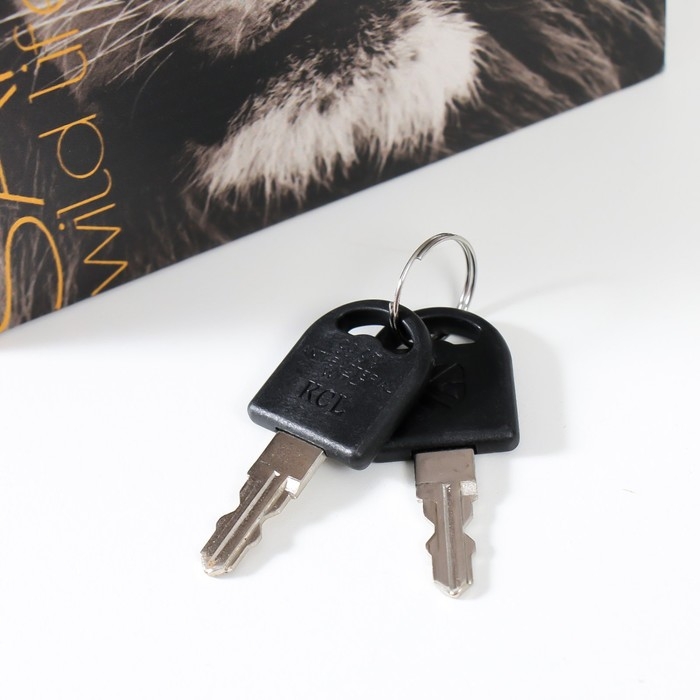 Сейф-книга дерево кожзам Сейф-книга дерево кожзам "Лев - дикая жизнь" 21х13х5 см