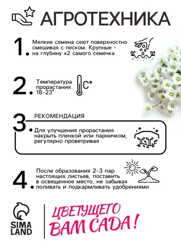 Семена цветов Алиссум  Семена цветов Алиссум "Снежные узоры", 5 шт.