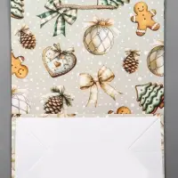 Пакет подарочный новогодний ламинированный, «Набор Новогодних игрушек» , 26×12×32 см Пакет подарочный новогодний ламинированный, «Набор Новогодних игрушек» , 26×12×32 см