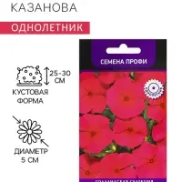 Семена цветов Катарантус "Казанова", 10шт Семена цветов Катарантус "Казанова", 10шт
