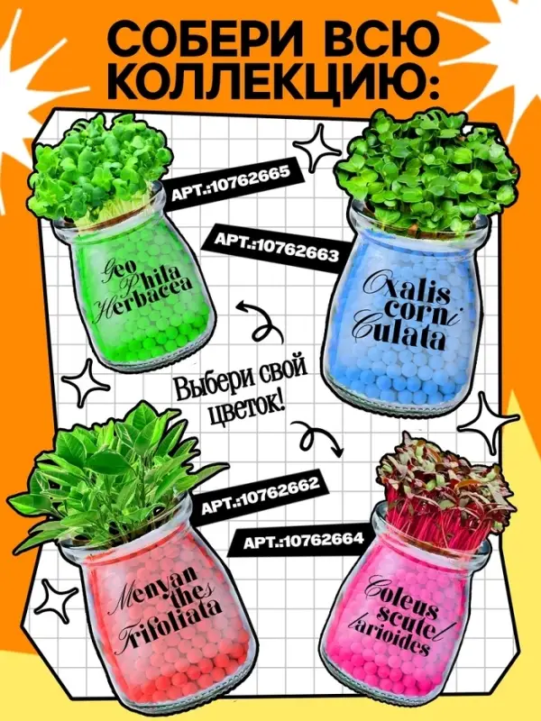 Набор для опытов &laquo;Выращиваем травку&raquo;, своими руками, оранжевый