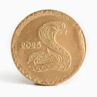 Шоколадная медаль «Змейка», 24 г