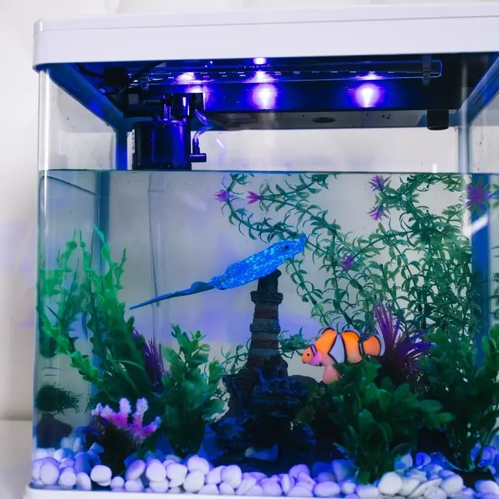 Декор для аквариума "Клоун оцеллярис", силиконовый, с неоновым эффектом, 6,6 х 4,3 см