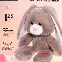 Мягкая игрушка &laquo;Зайчик Беня&raquo;, 25 см, цвет серый