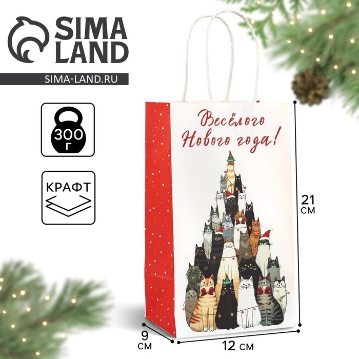 Пакет подарочный новогодний крафтовый «Весёлого нового года», 12 х 9 х 21 см Пакет подарочный новогодний крафтовый «Весёлого нового года», 12 х 9 х 21 см