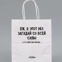 Пакет подарочный, крафтовый &laquo;Новогодний 2&raquo;, 22&times;25&times;12 см