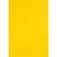 Бумага цветная Attache Multicolor А4,80г(10цв.интенсив,пастель по 10л)100л