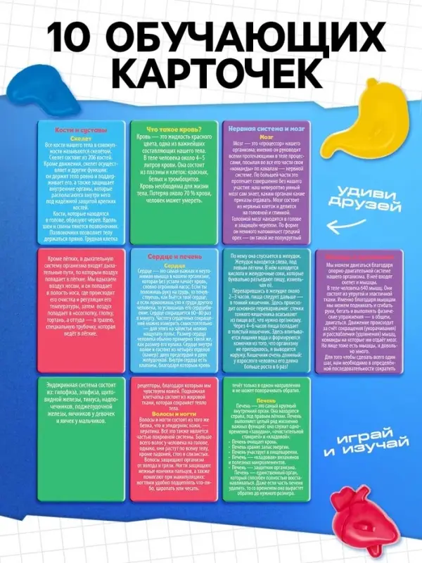 Набор для опытов &laquo;Мое удивительное тело&raquo;