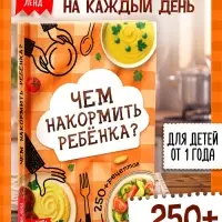 Книга &laquo;Чем накормить ребёнка?&raquo;, 250+ рецептов, 160 стр.