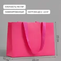 Пакет подарочный ламинированный горизонтальный &laquo;Фуксия&raquo;, 28&times;20&times;10 см