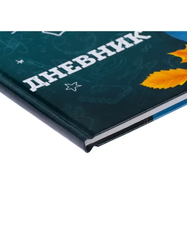 Дневник школьный для 1-11 классов, &laquo;Школа&raquo;, твёрдая обложка 7БЦ, глянцевая ламинация, 40 листов