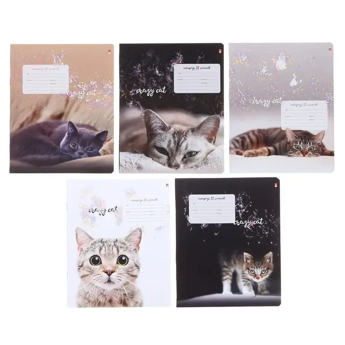 Тетрадь 12 листов в клетку &laquo;Удивительные котята&raquo;, обложка мелованная бумага, ВД-лак, МИКС