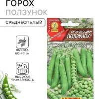 Семена Горох овощной &laquo;Ползунок&raquo;, 10 г, безлисточковый, &laquo;Аэлита&raquo;