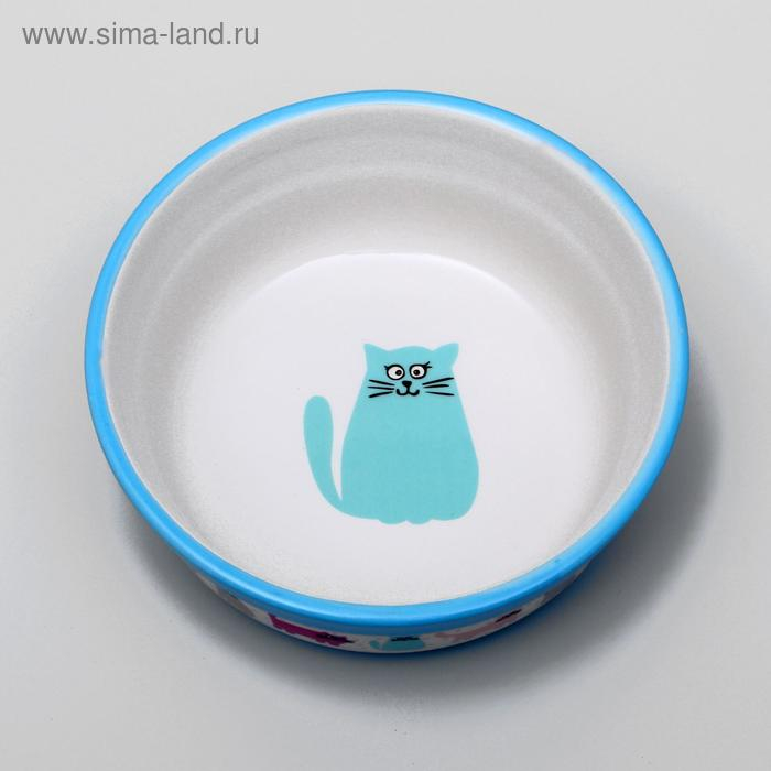Миска керамическая  Миска керамическая "Кошачья жизнь" 300 мл  12,7 х 5 см, голубая