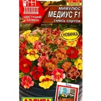 Семена цветов Мимулюс Медиус F1, смесь сортов (драже) С. Cerny Цветущий балкон, Ц/П,10 шт. Семена цветов Мимулюс Медиус F1, смесь сортов (драже) С. Cerny Цветущий балкон, Ц/П,10 шт.