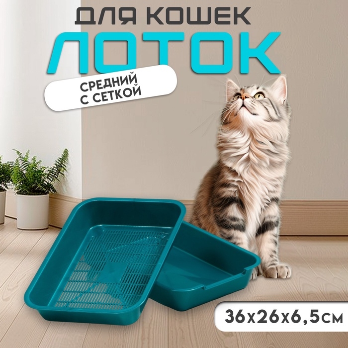 Туалет перламутровый средний с сеткой 36 х 26 х 6,5 см, бирюзовый Туалет перламутровый средний с сеткой 36 х 26 х 6,5 см, бирюзовый