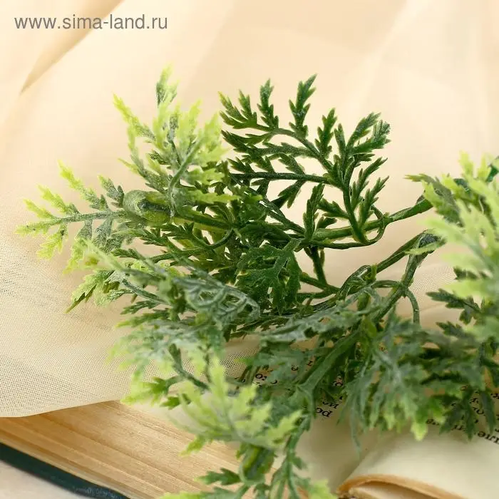 Букет "Луговой" двухцветный 15 см, микс