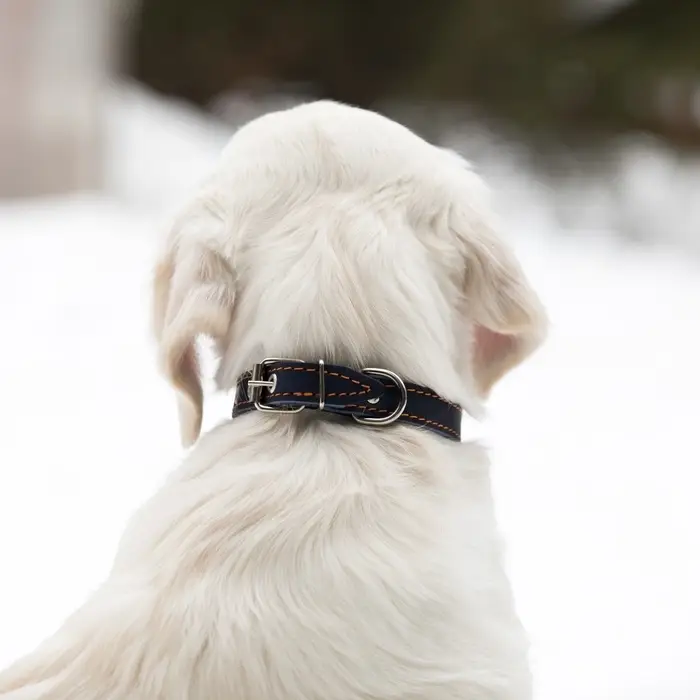 Ошейник однослойный безразмерный, 45&times;2 см, ОШ 18-39 см, кожа, синий